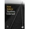 Son Yolcu - Nedim Gürsel