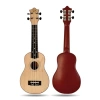 Soprano Ukulele Seti, Başlangıç Seviye Kullanıcılar için