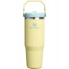 Stanley The Iceflow Flip Straw Pipetli Termos Bardak 0,89 Lt