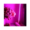 Tam Spektrum LED Bitki Lambası, 4.5 W Güç ile İç Mekan Bitkileri için Uygun