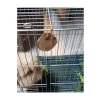Tavşan ve Hamsterlar İçin Kemirme Oyuncağı, Eğlenceli ve Dayanıklı