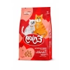 Tavuklu Kedi Maması - 1 kg Özel Formül