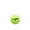 Tennis Balls - Champ Extra Duty