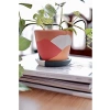 Terracotta Savana Saksı - Orta Boy, Yeşil ve Sarı Renk