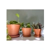 Terracotta Savana Saksı - Orta Boy, Yeşil ve Sarı Renk