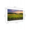 THOMSON 85QG5S14 85 216 Ekran Uydu Alıcılı 4K Ultra HD Google QLED TV