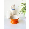 Turuncu Seramik Yavaş Yeme Kedi Mama Kabı, Estetik Tasarım