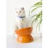 Turuncu Seramik Yavaş Yeme Kedi Mama Kabı, Estetik Tasarım