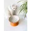 Turuncu Seramik Yavaş Yeme Kedi Mama Kabı, Estetik Tasarım