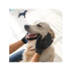 Tüy Toplama Masaj Ve Kaşıma Eldiveni, Kedi ve Köpekler İçin