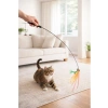 Tüylü Renkli Kedi Oltası Oyuncağı, İnteraktif