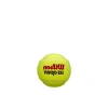 US Open Tennis Balls