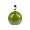 Renkli Yarışma Kettlebell - Ağırlık Antrenmanları İçin