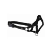 Uzman Köpek Eğitim Tasması - XL Beden, 46 cm