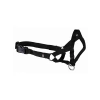 Uzman Köpek Eğitim Tasması - XL Beden, 46 cm