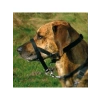 Uzman Köpek Eğitim Tasması - XL Beden, 46 cm