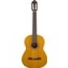 Valencia VC204 Klasik Gitar (Kılıf Hediyeli)