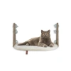 Vantuzlu Kedi Cam Yatağı - Krem