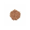 Vegan Toz Bronzer - 102 Warm Sienna