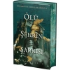 Vera Kitap Ölü Şehrin Şarkısı - Dilara Özçelik (Yan Boyamalı Özel Baskı)