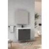 Wons Paris 65 cm Antrasit Banyo Dolabı