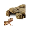 XL Boy Sürüngen Mağarası - Doğal Ortam Sağlayan Konfor