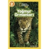 Yağmur Ormanları- Andrea Silen
