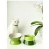 Yavaş Yeme Mama Kabı, Seramik, 2li Set, YEŞİL BEYAZ