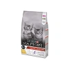 Yavru Kedi Maması - Tavuk ve Pirinçli, 1.5 Kg