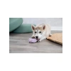 Yavru Köpekler İçin Mini Lateks Dambıl Oyuncak 10 cm (2 Paket)