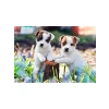Yavru Köpekler Temalı 2x12 Parça Puzzle, Eğlenceli Çocuk Oyun Seti