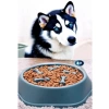Yeşil Renk Yavaş Besleyici Köpek Mama Kabı, Obezite Önleyici
