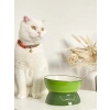Yeşil Renkli Seramik Mama ve Su Kabı, Kedi ve Köpekler İçin