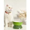 Yeşil Renkli Seramik Mama ve Su Kabı, Kedi ve Köpekler İçin