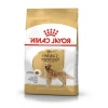 Yetişkin Golden Retriever Köpek Maması - 12 Kg