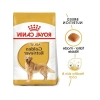 Yetişkin Golden Retriever Köpek Maması - 12 Kg