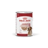 Yetişkin köpek yaş maması, 410 gram x 12 adet paket
