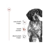 Yetişkin köpek yaş maması, 410 gram x 12 adet paket
