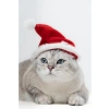 Yılbaşı Temalı Lastikli Kedi Şapkası