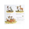 Zogi Ve Uçan Doktorlar - Julia Donaldson