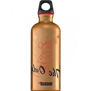 0.6 L Kapasiteye Sahip Bronz Su Geçirmez Matara