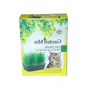 1 Adet Kahverengi Kedi Çimi, Bahçe Kullanımı İçin