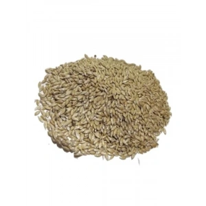 1 kg Temizlenmiş Aspur Sade Kanarya Yemi ile Taze Beslenme