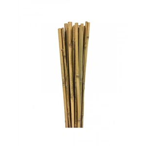 10lu Bambu Destek Çubuğu 10-12 mm x 120 cm