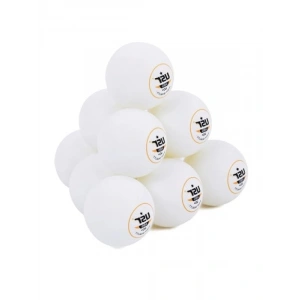 10lu Masa Tenisi Antrenman Topu