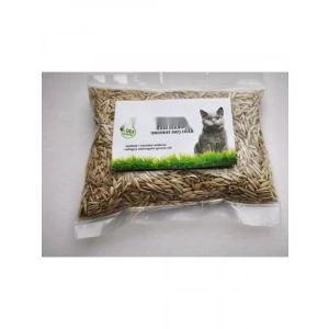 %100 Doğal Kedi Çimi Tohumu Karışımı - Arpa, Buğday, Yulaf (500 Gram)