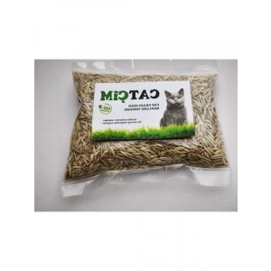 1000 gram %100 Doğal Kedi Çimi Tohumu, Arpa ve Buğday Karışımı