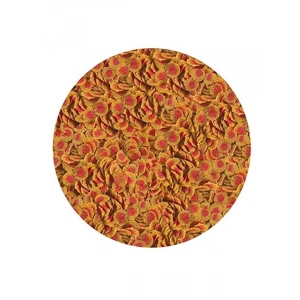 100gr Balık Yemi - Tetra Pro Colour