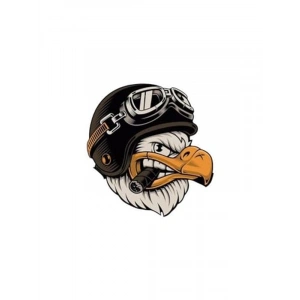 11x10,5 cm Araba ve Laptop İçin Kartal Sticker, Çok Amaçlı Kullanım