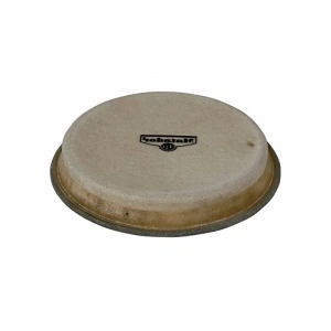 17,7 cm Ham Deri Matador Bongo Kafası